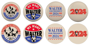 CAMPAIGN BUTTONS AND STICKERS